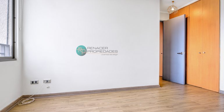 IMG_7508_09_10_Optimizer