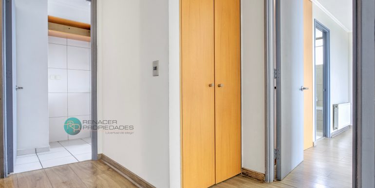 IMG_7541_2_3_Optimizer