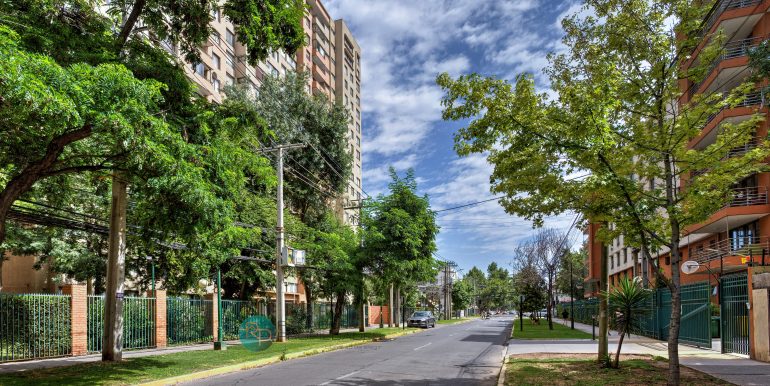 IMG_7607_8_9_Optimizer